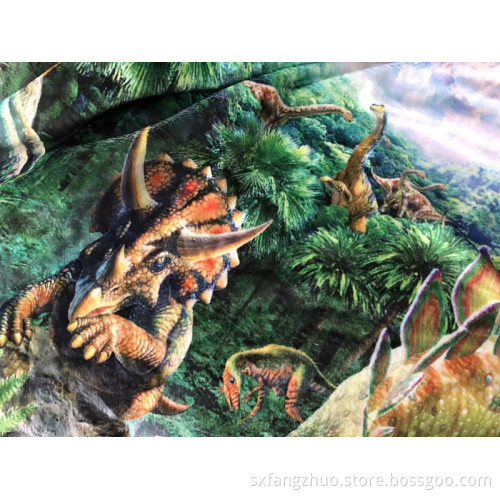 super soft warm Velvet Plush Throw Kids Boys children cute dinosaur blanket